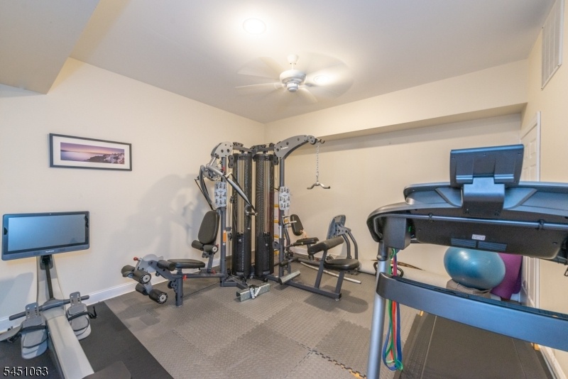 Basement Gym