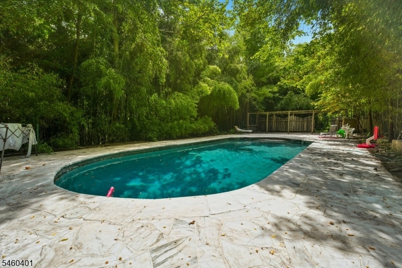 Gorgeous Pool with Privacy