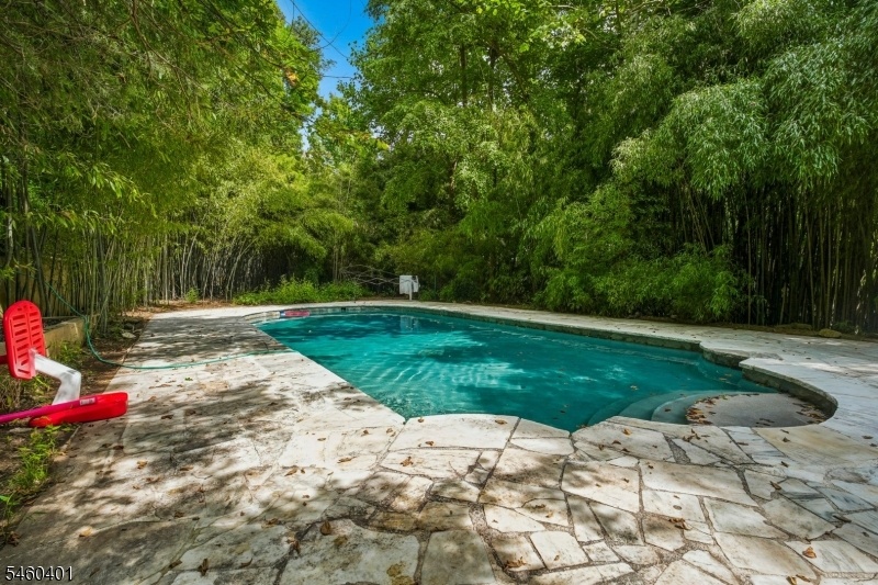 Gorgeous Pool with Privacy