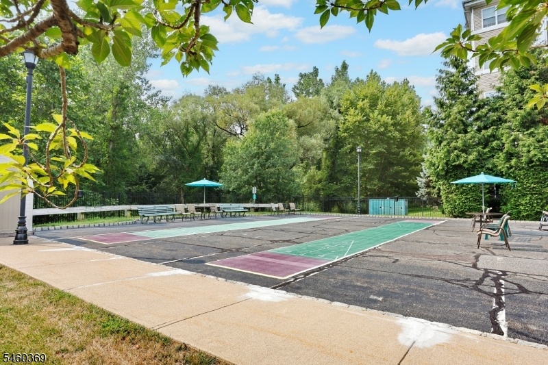 Shuffleboard