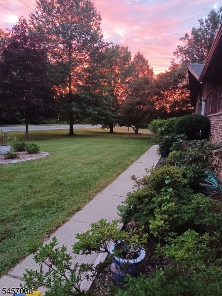 Sunrise Front Yard