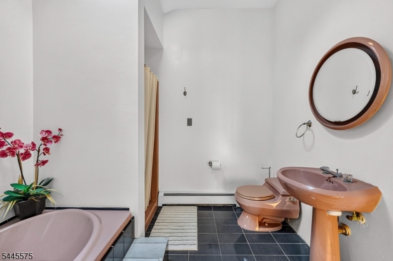 Primary Bdrm jetted tub