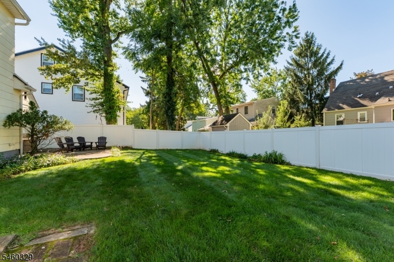 Another View of Yard