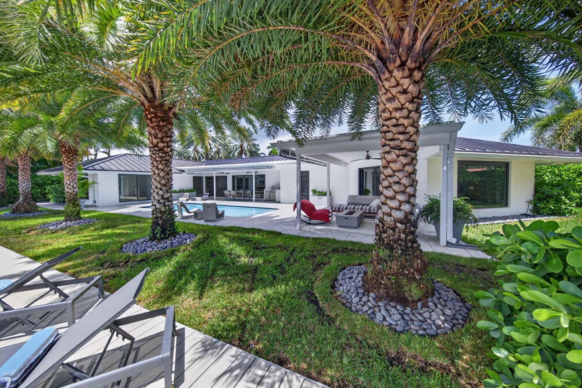 Backyard with gorgeous palm trees