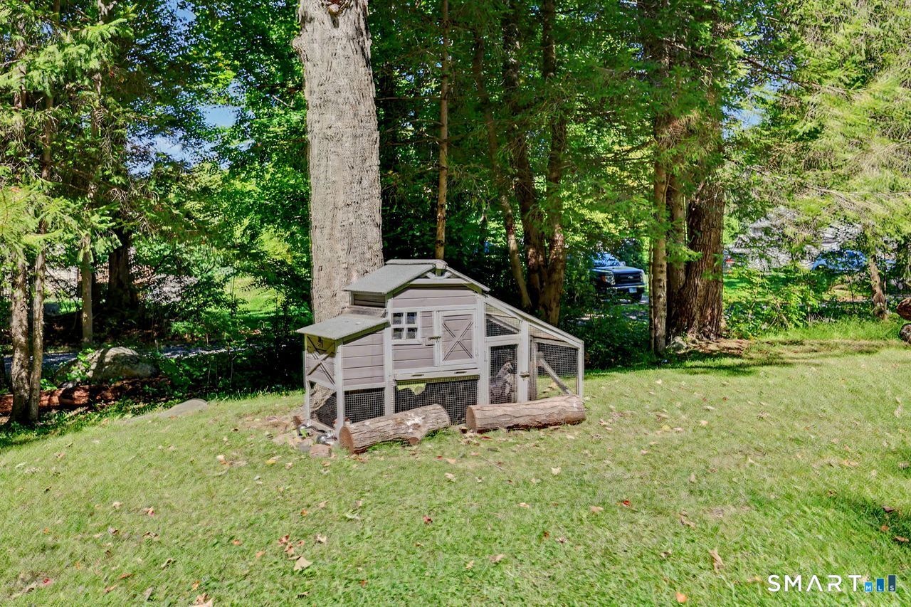 Front Yard