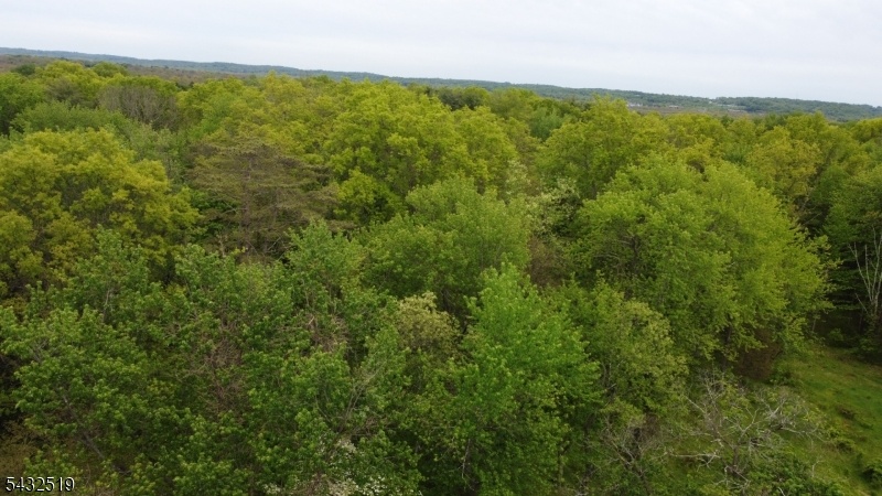 Wooded Rear