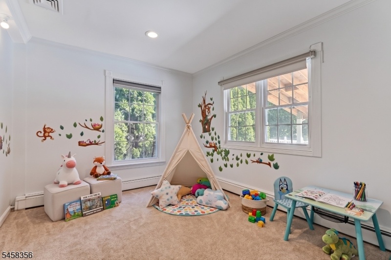 Play Area