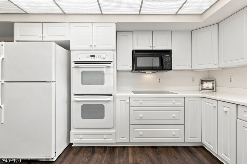 The double ovens