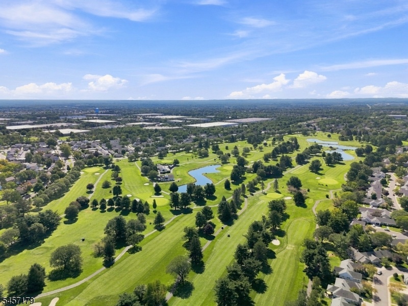 Rossmoor Golfing