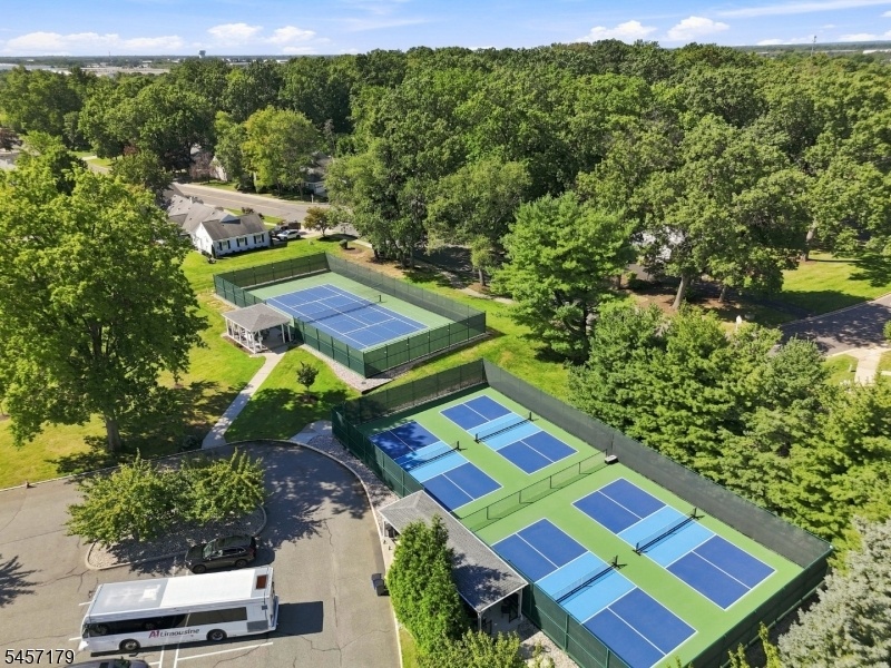 Courts Galore!