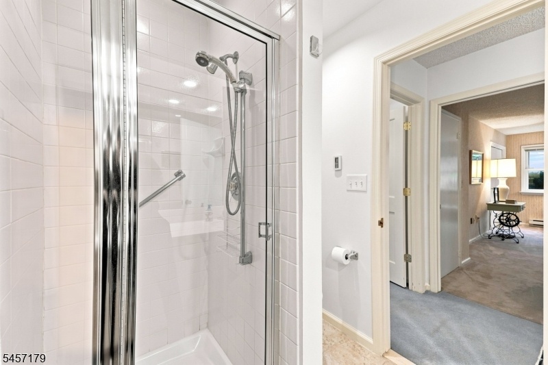 Main Bath Shower