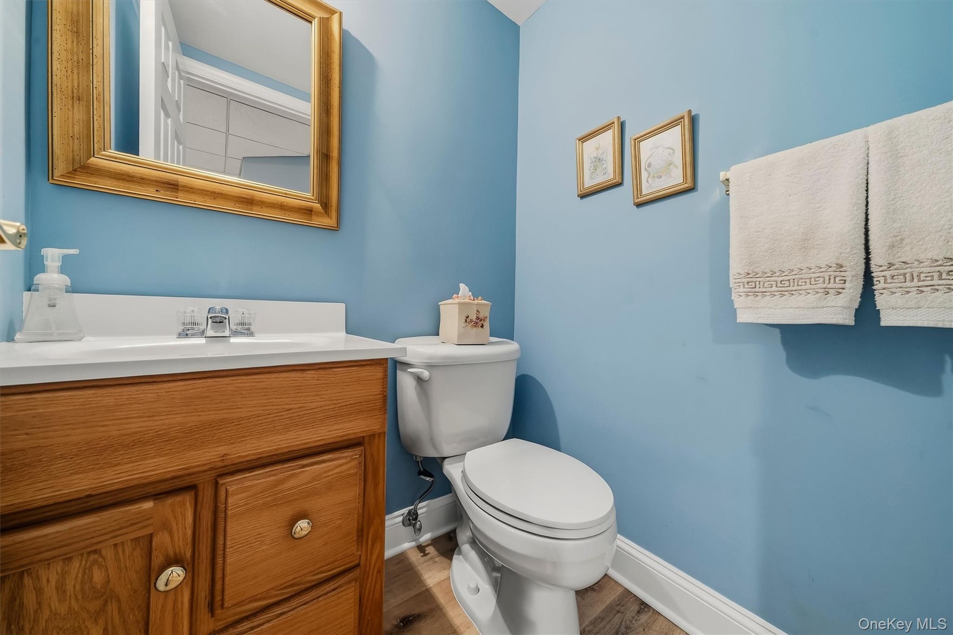 Wood-finish flooring, light wood vanity with brass hardware, white countertop with integrated sink, chrome faucet, and a toilet