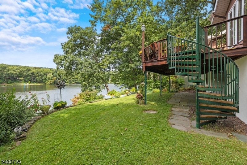 back yard