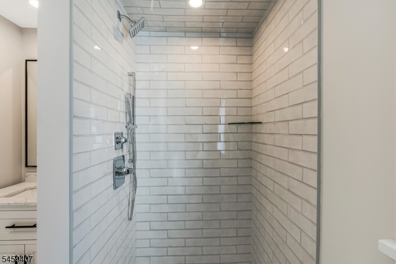 Lower Level Bathroom