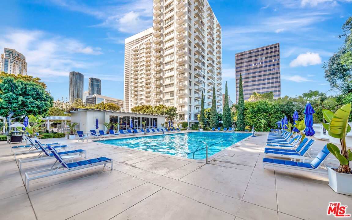 Pool + Lounge Area