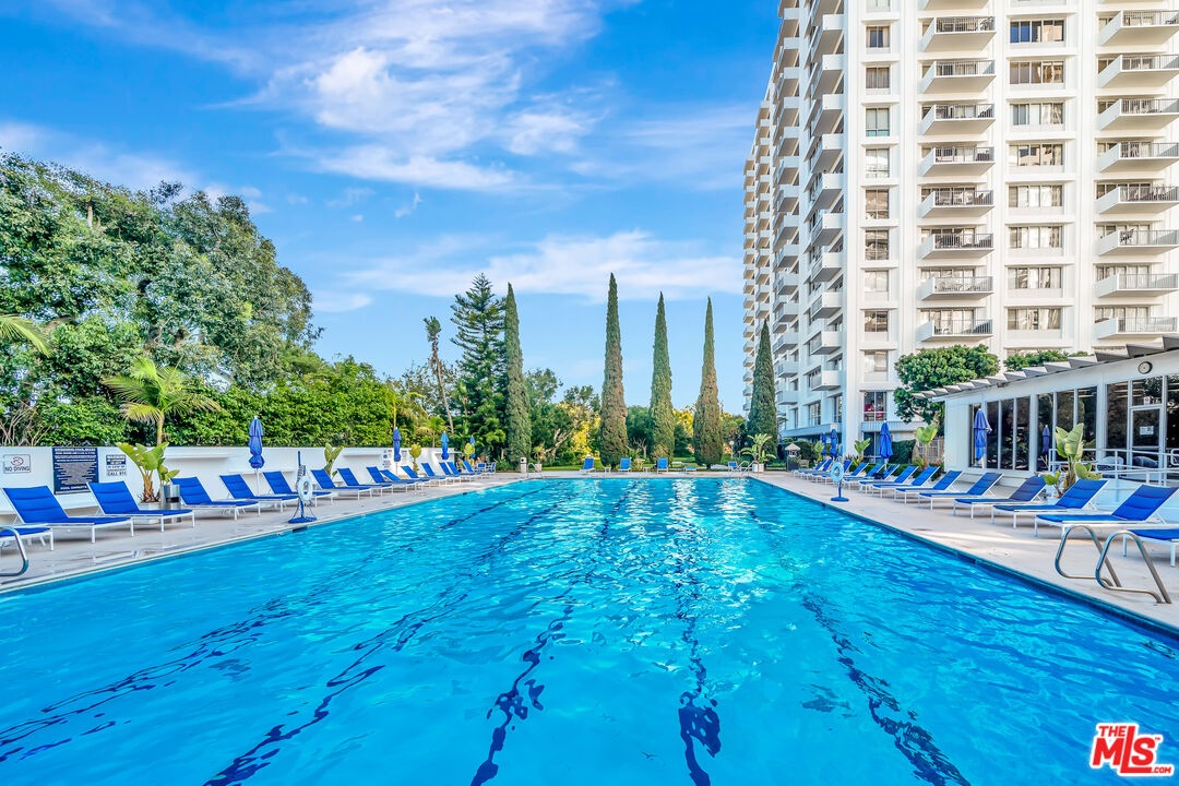 Olympic Size Pool