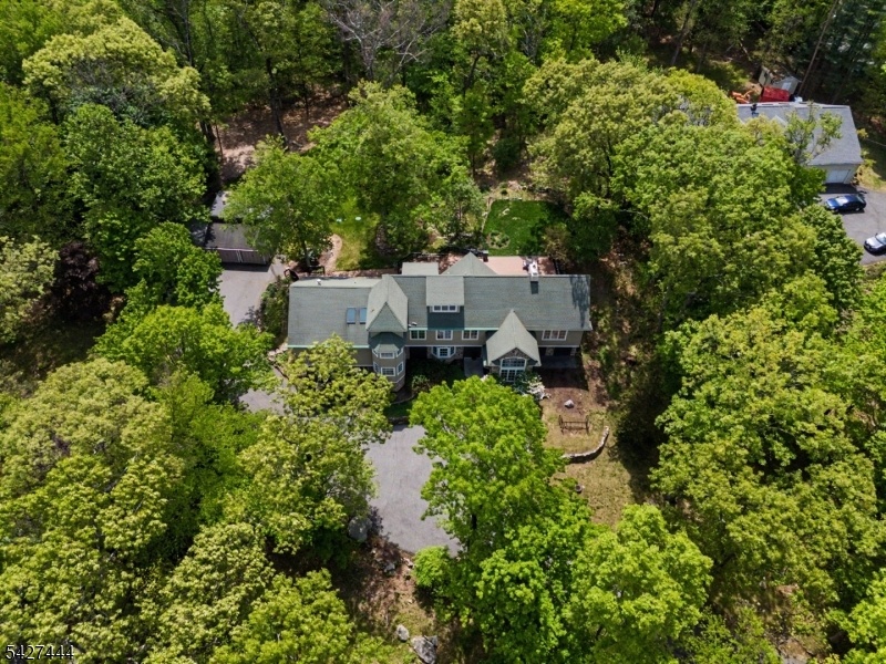 Drone View