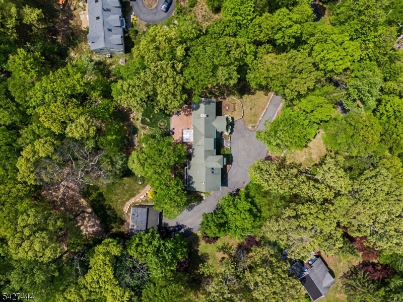 Drone View