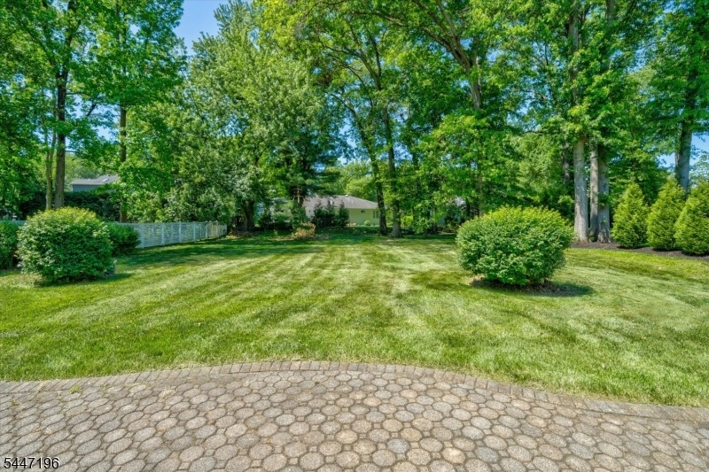 Large Flat Backyard