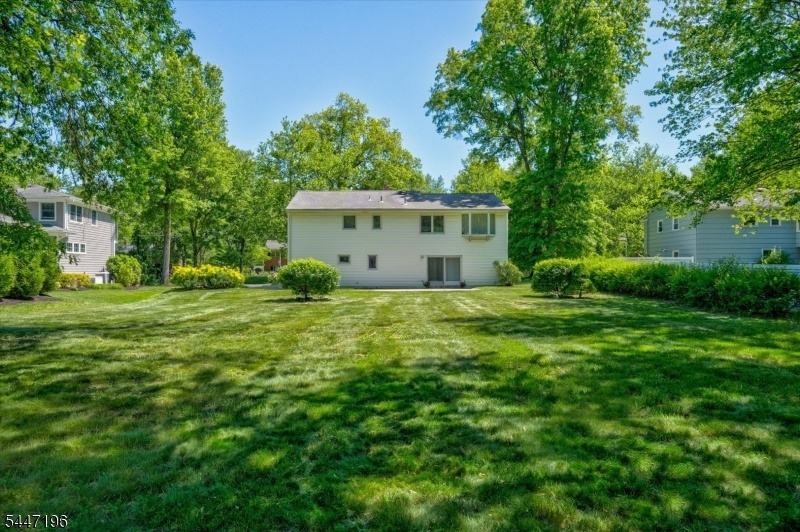 Large Flat Backyard