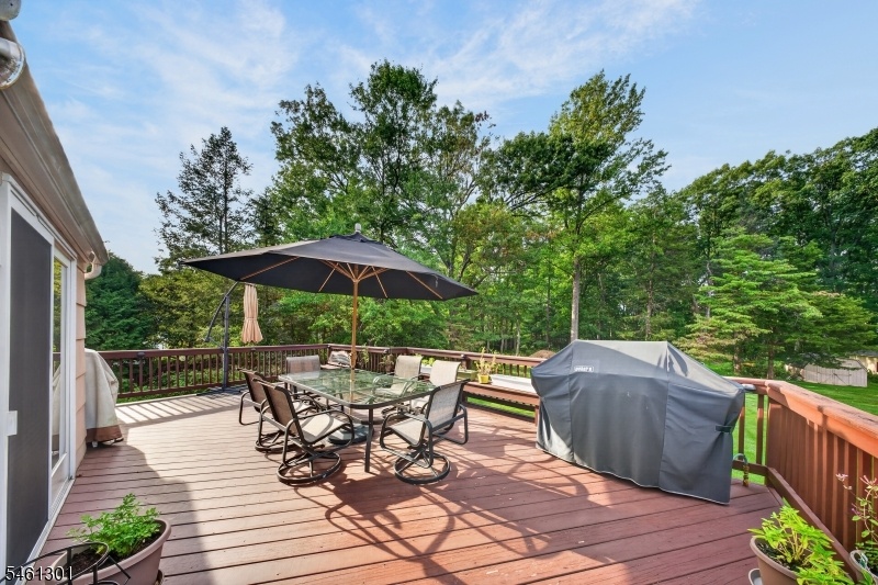 Large Deck