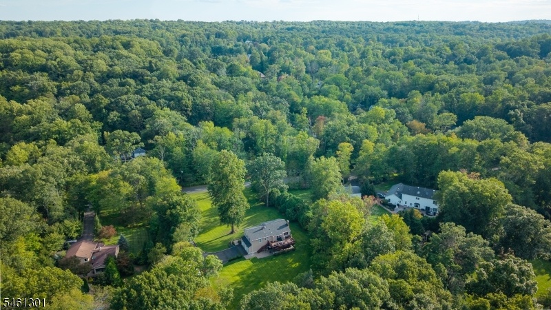 Drone View