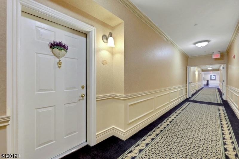 Hall View entry door