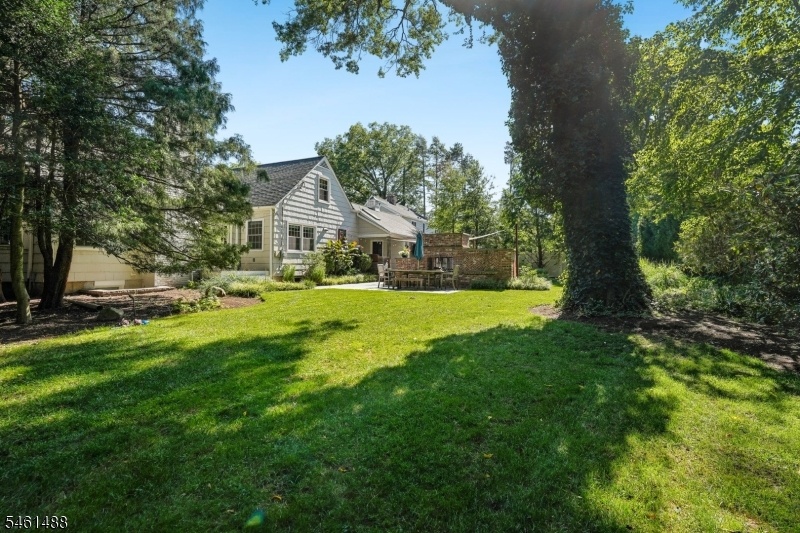 Rear Yard