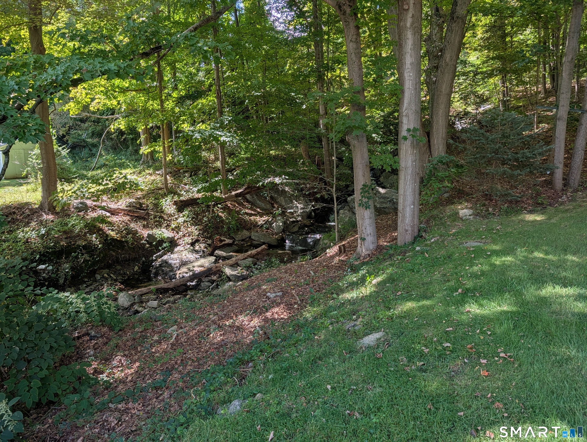 Side Yard