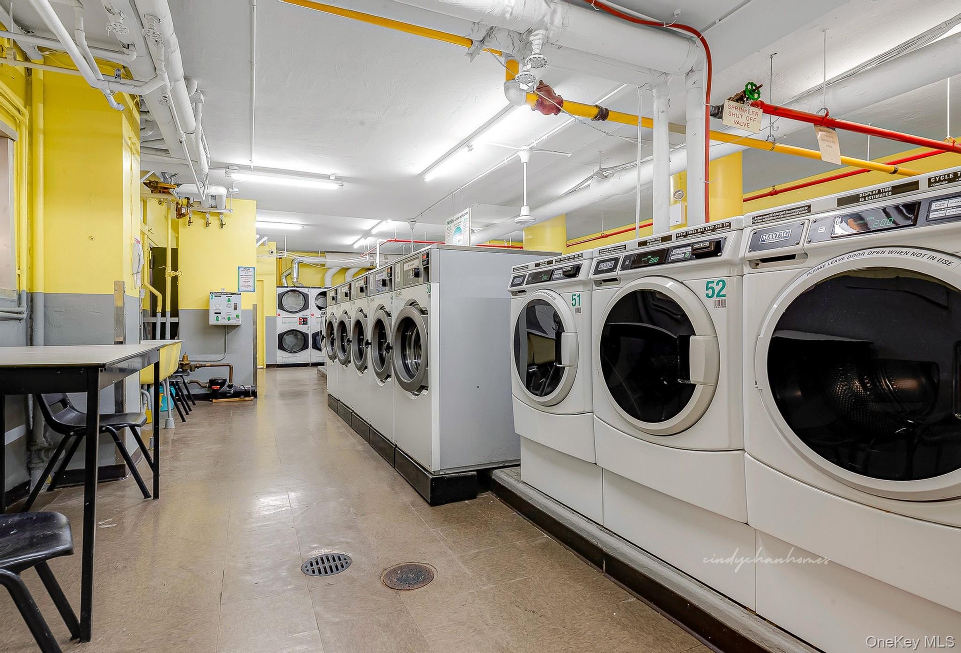 Shared laundry room featuring separate washer and dryer