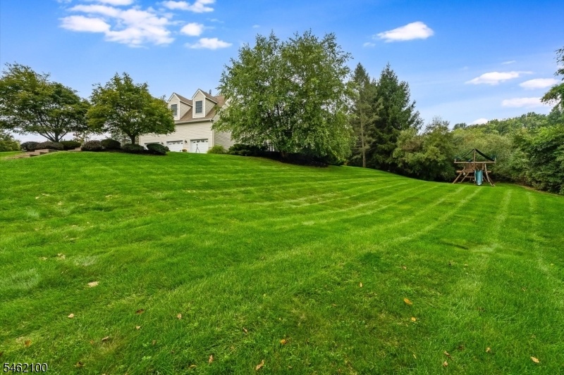Expansive Yard