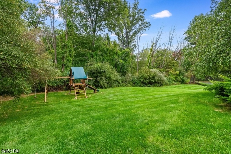 Expansive Yard