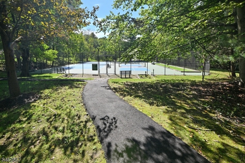 Tennis, bocce, pickleball