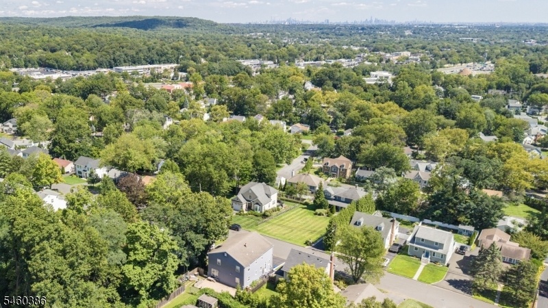 Aerial Skyline