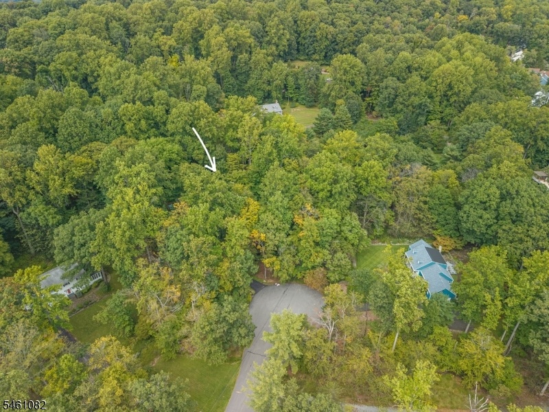 Cul-de-sac Aerial View