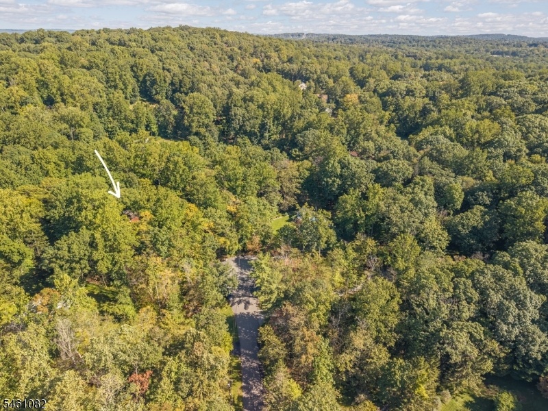 Property Aerial View