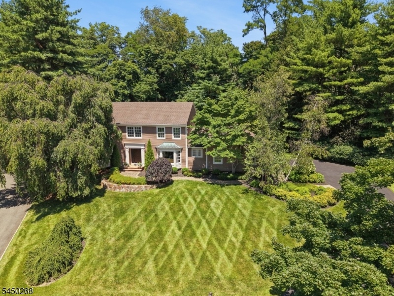 Aerial View Front
