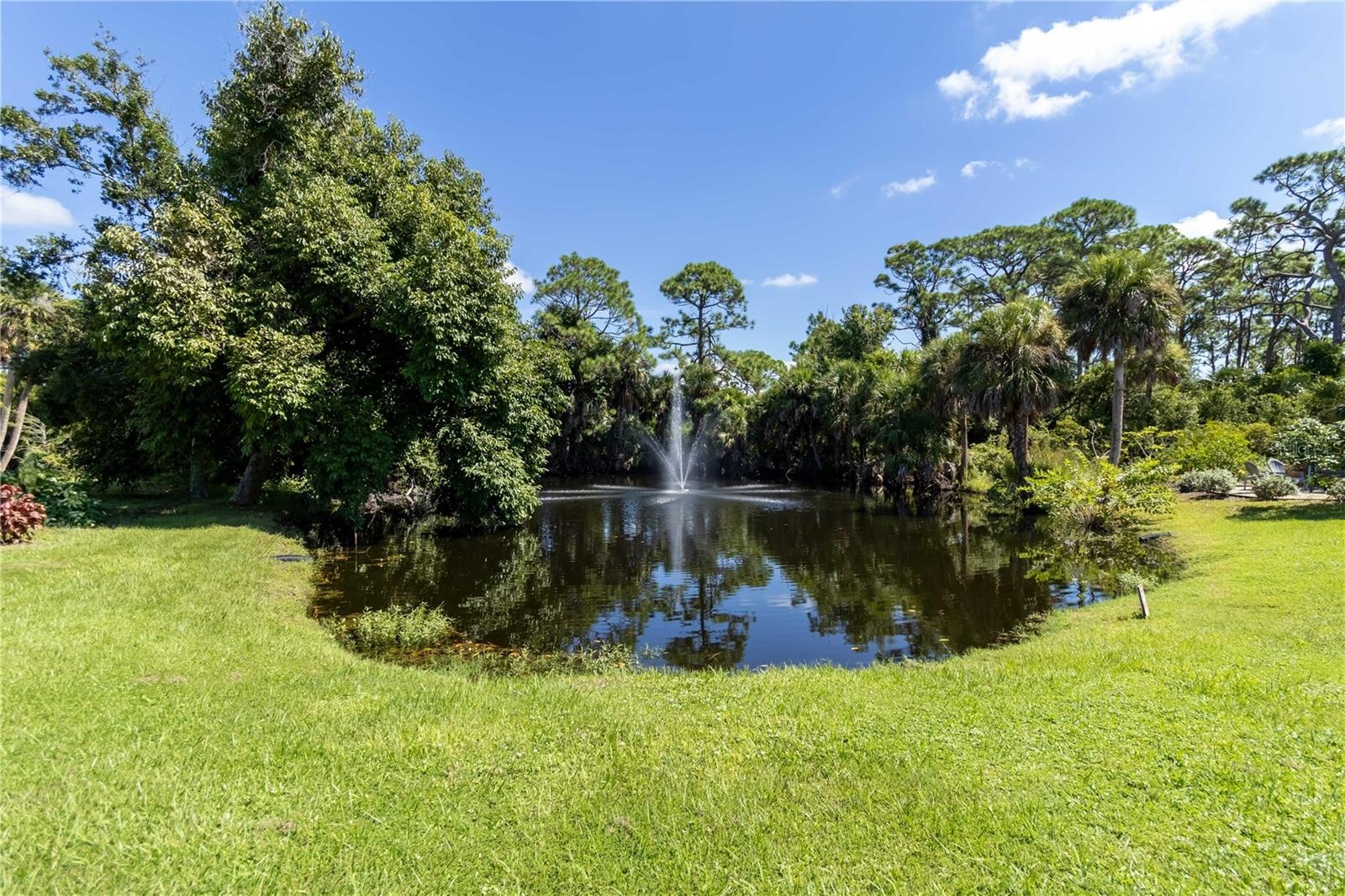 To the right is the firepit. The guest house and the main house both overlook this stunning back yard.
