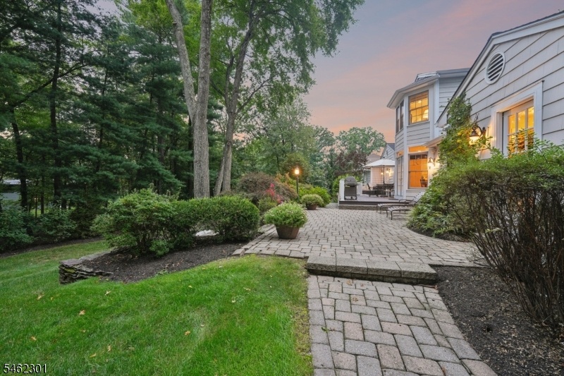 Picturesque Outdoor Setting