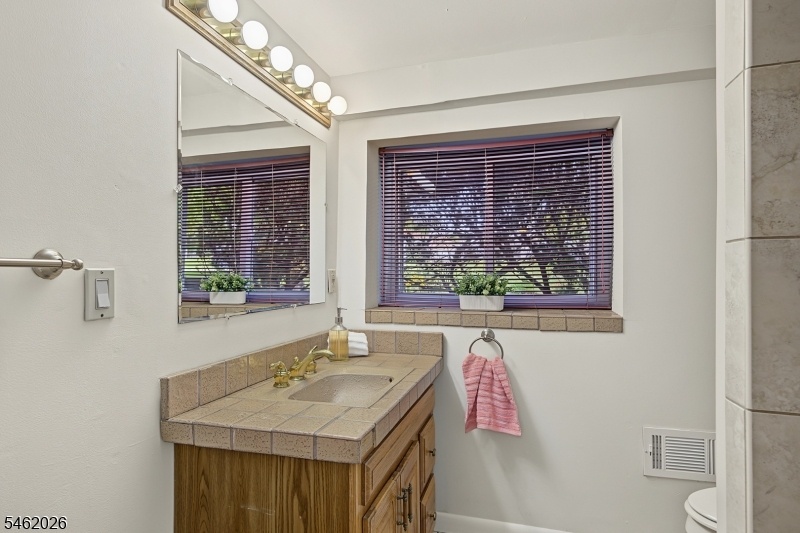 Lower Level Bath
