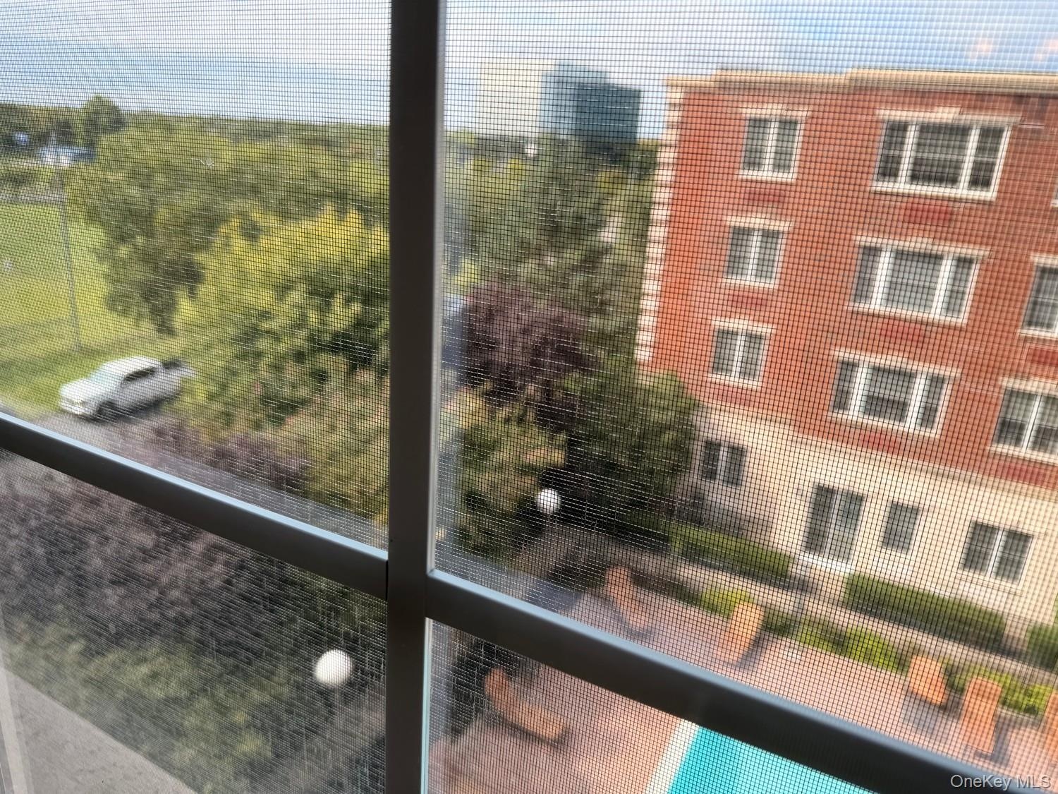 View of park from living room