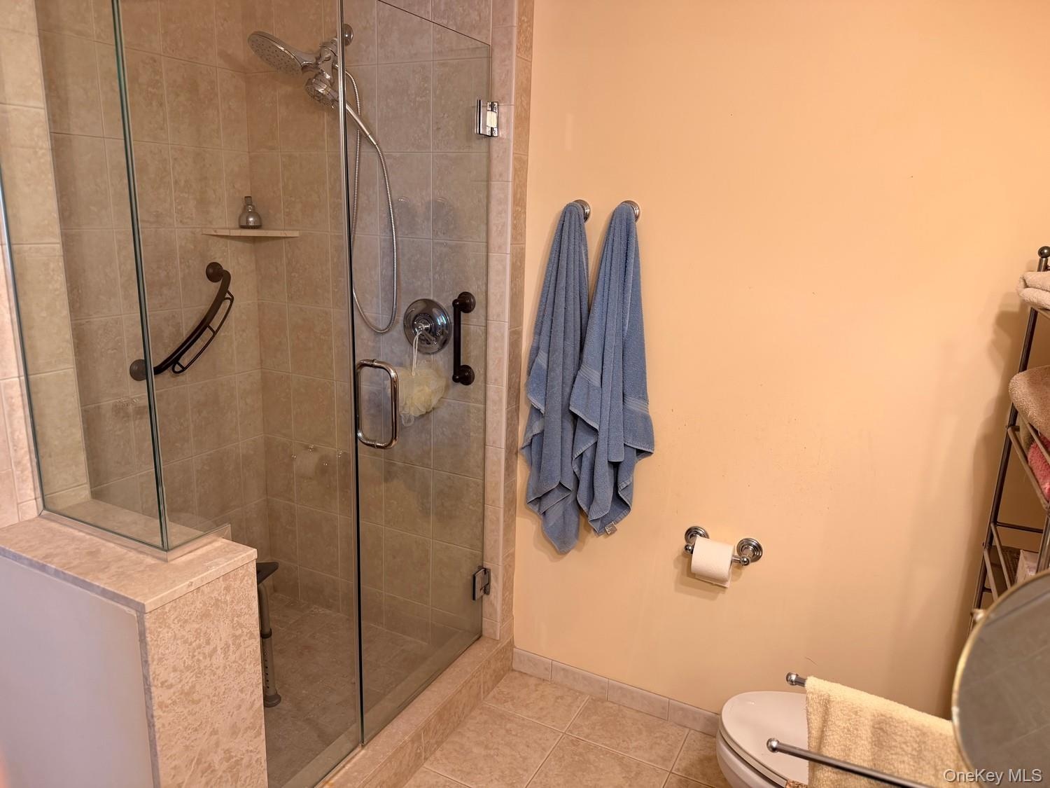 Walk in glass shower as shown