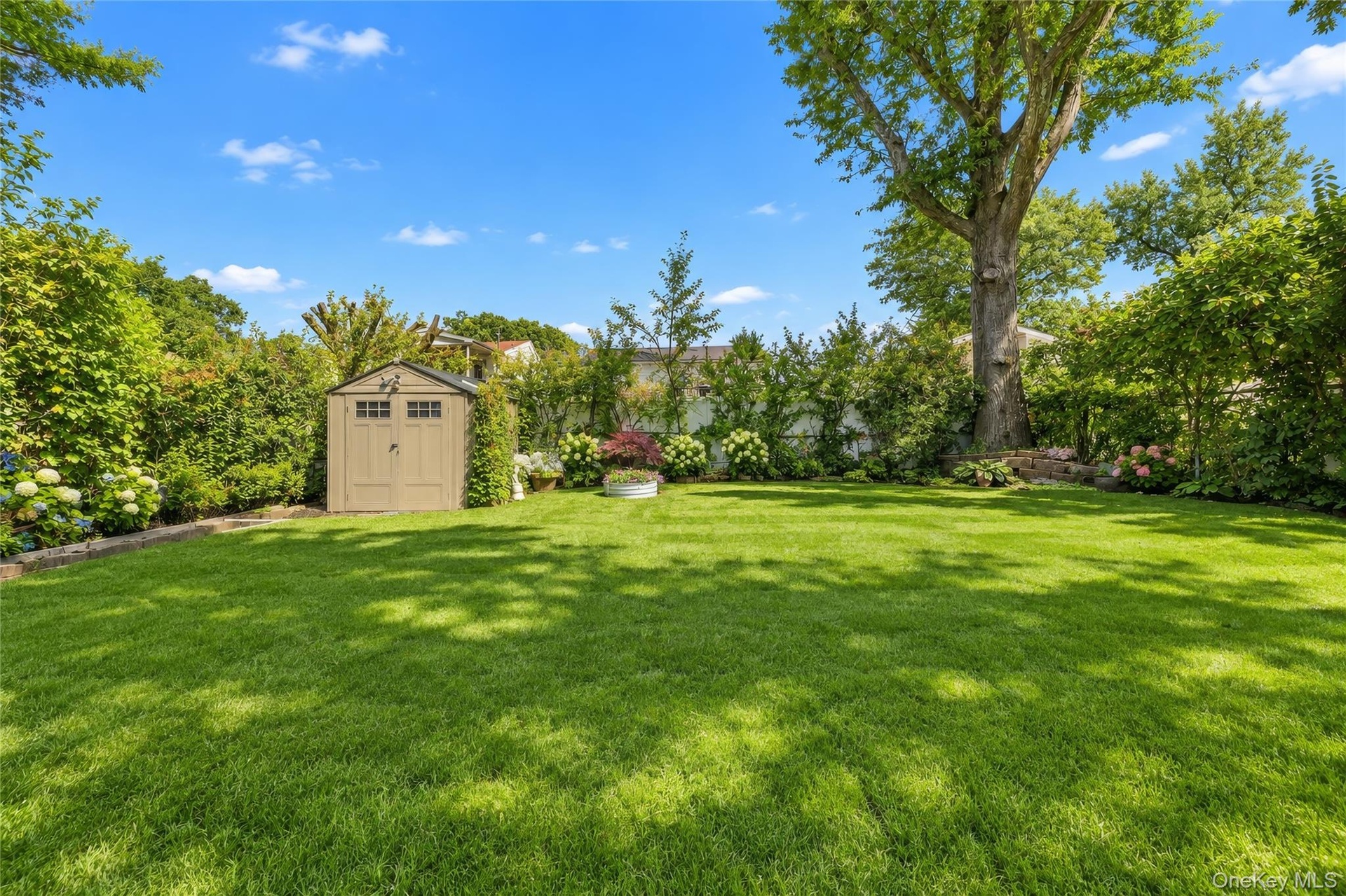 Rear Yard With Shed