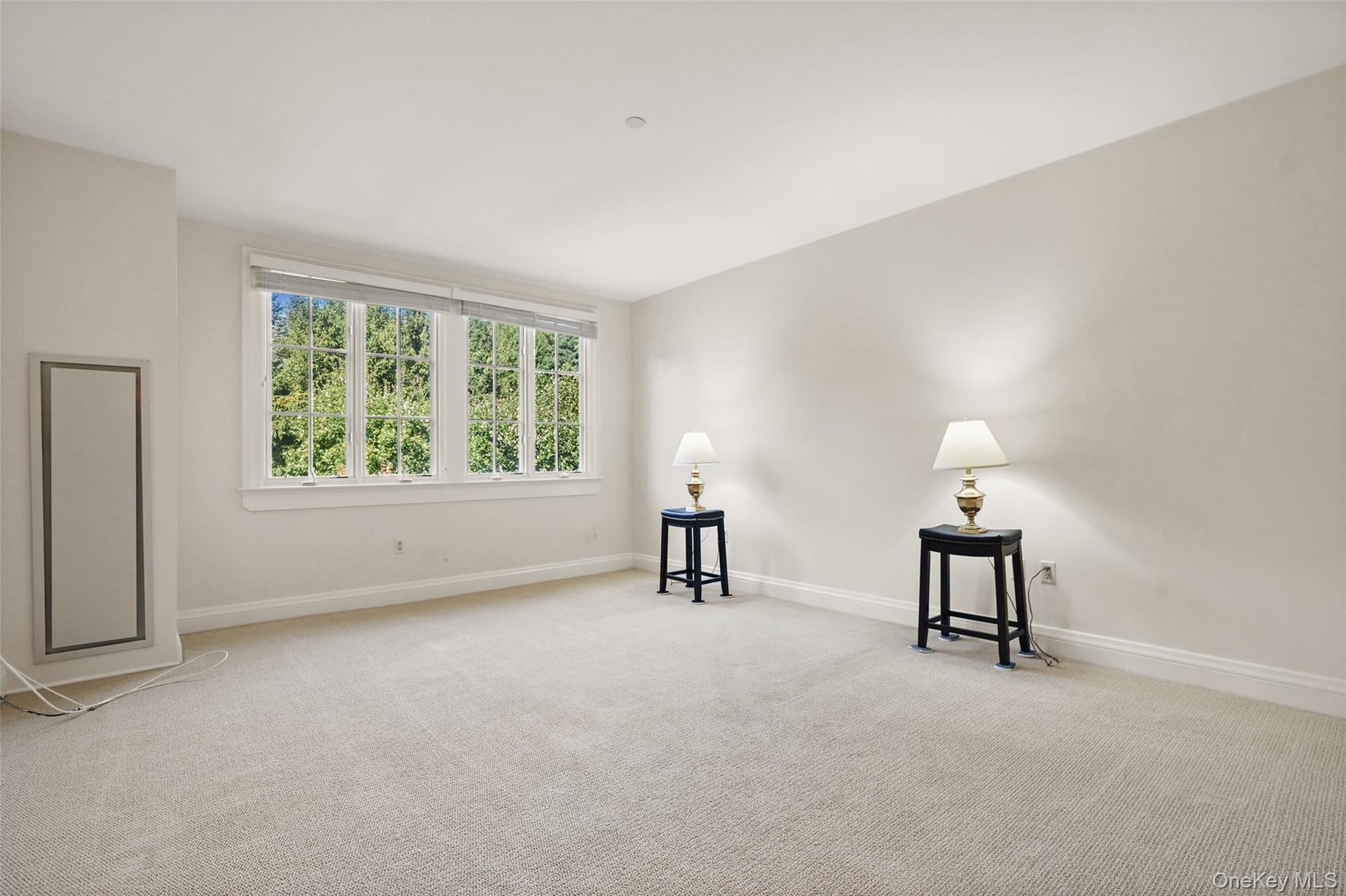 Light-toned wall finishes, expansive window, crown molding, and neutral carpeting