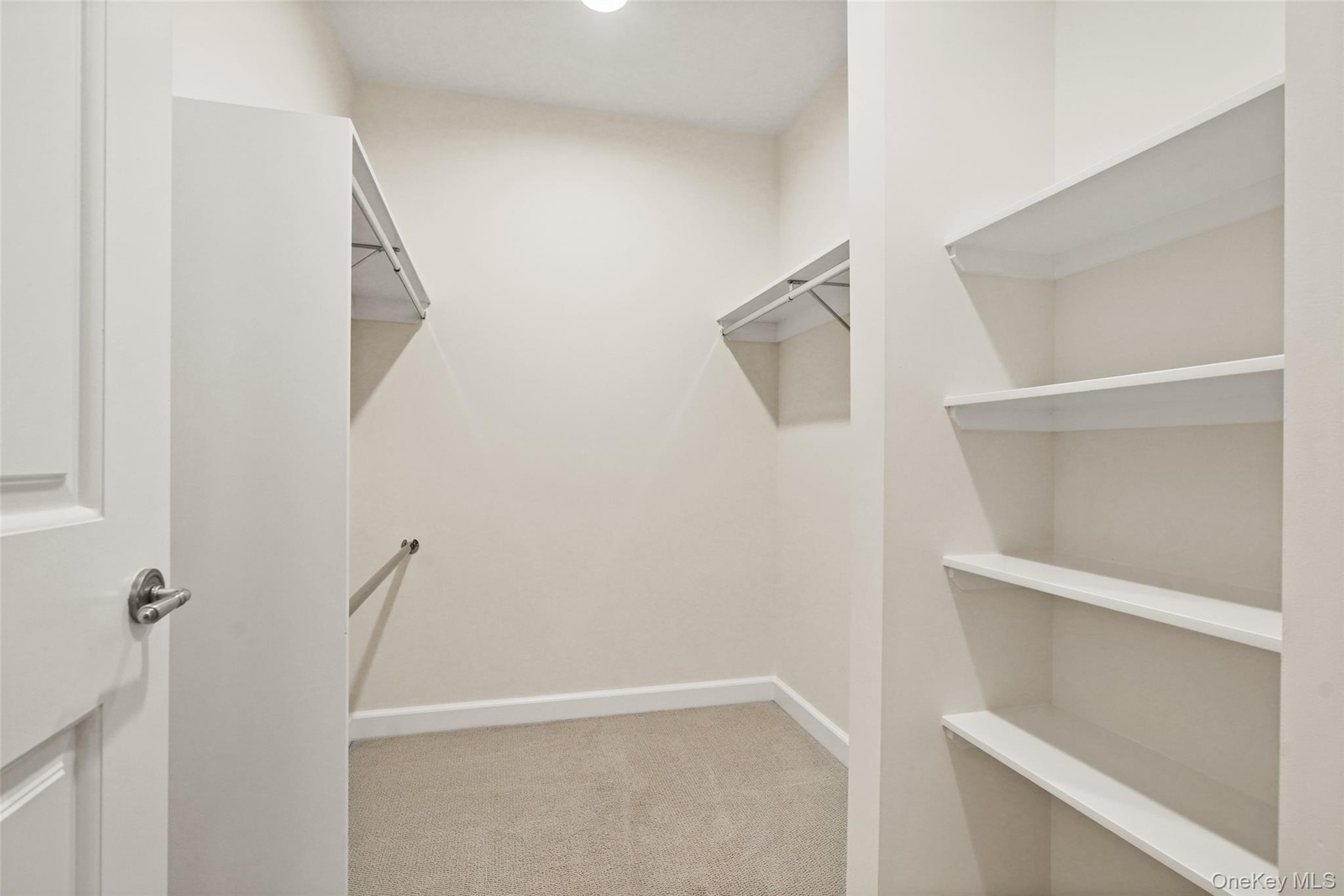 Walk-in closet featuring carpet flooring, built-in shelving, and hanging rods