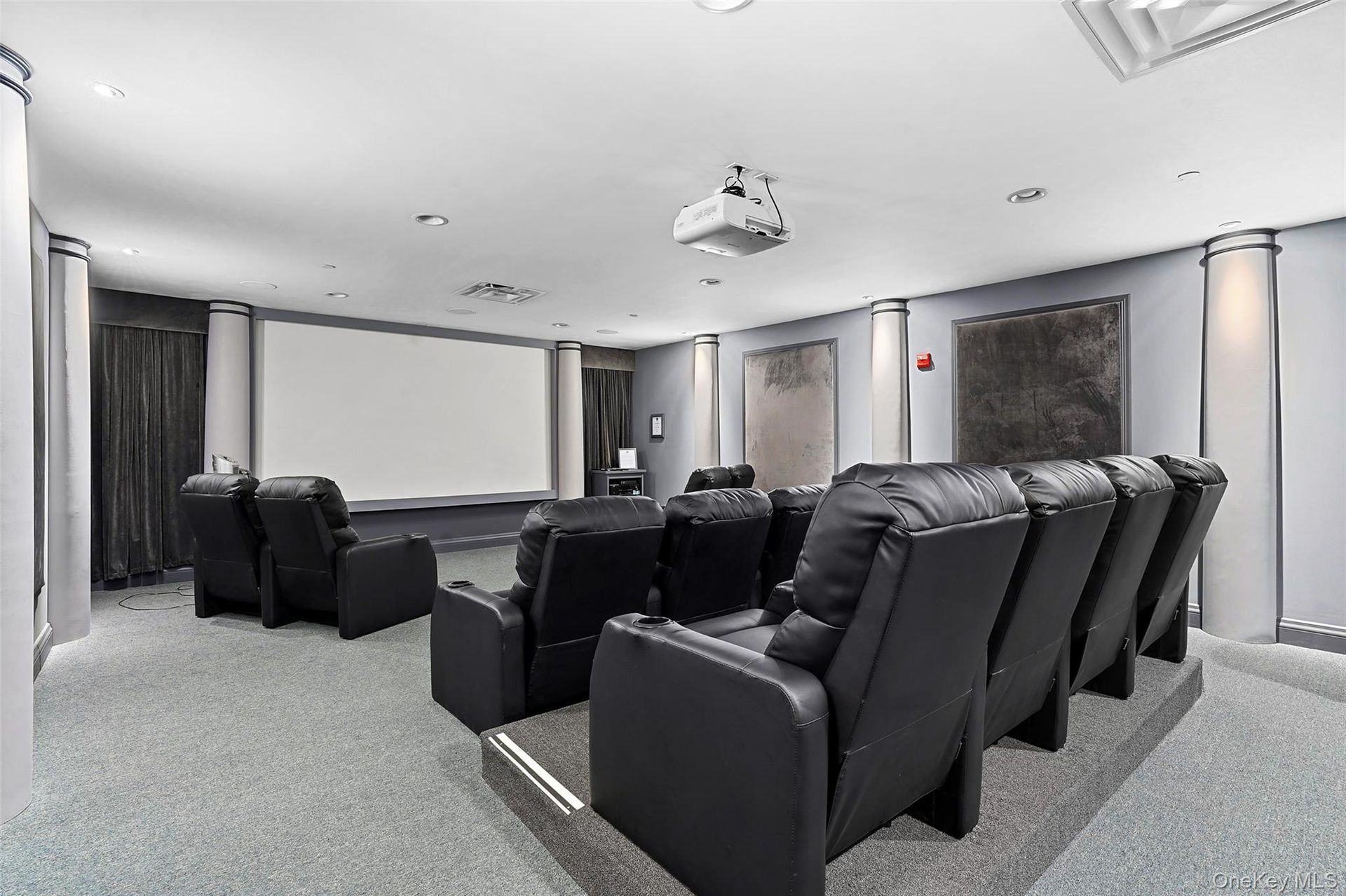 Theater/ screening room
