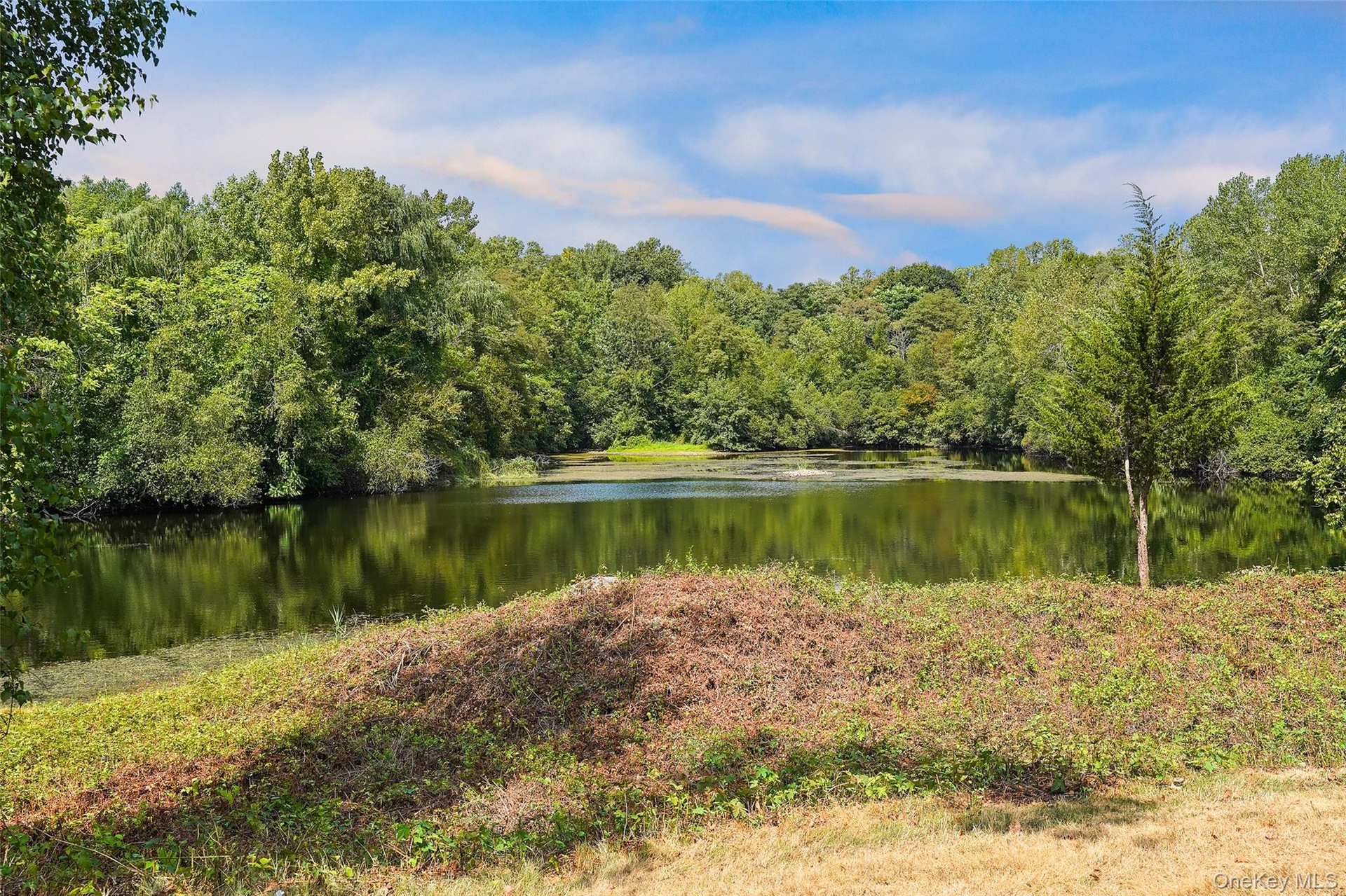 Expansive natural pond surrounded by abundant mature trees and natural vegetation