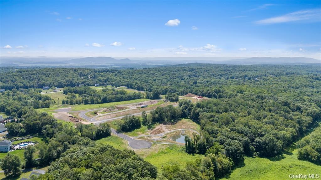 Aerial View of Ridgebury Estates