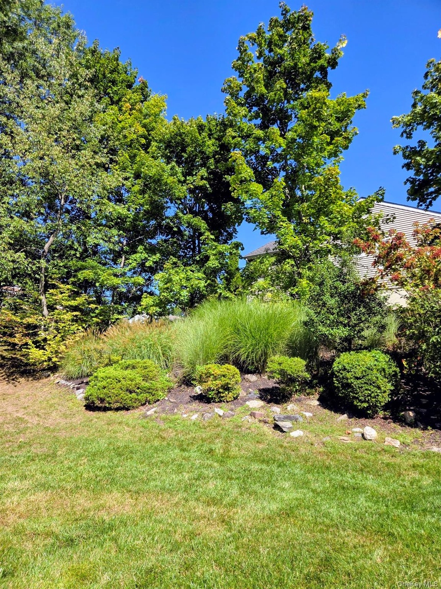 View of yard with perennial grasses on the hill