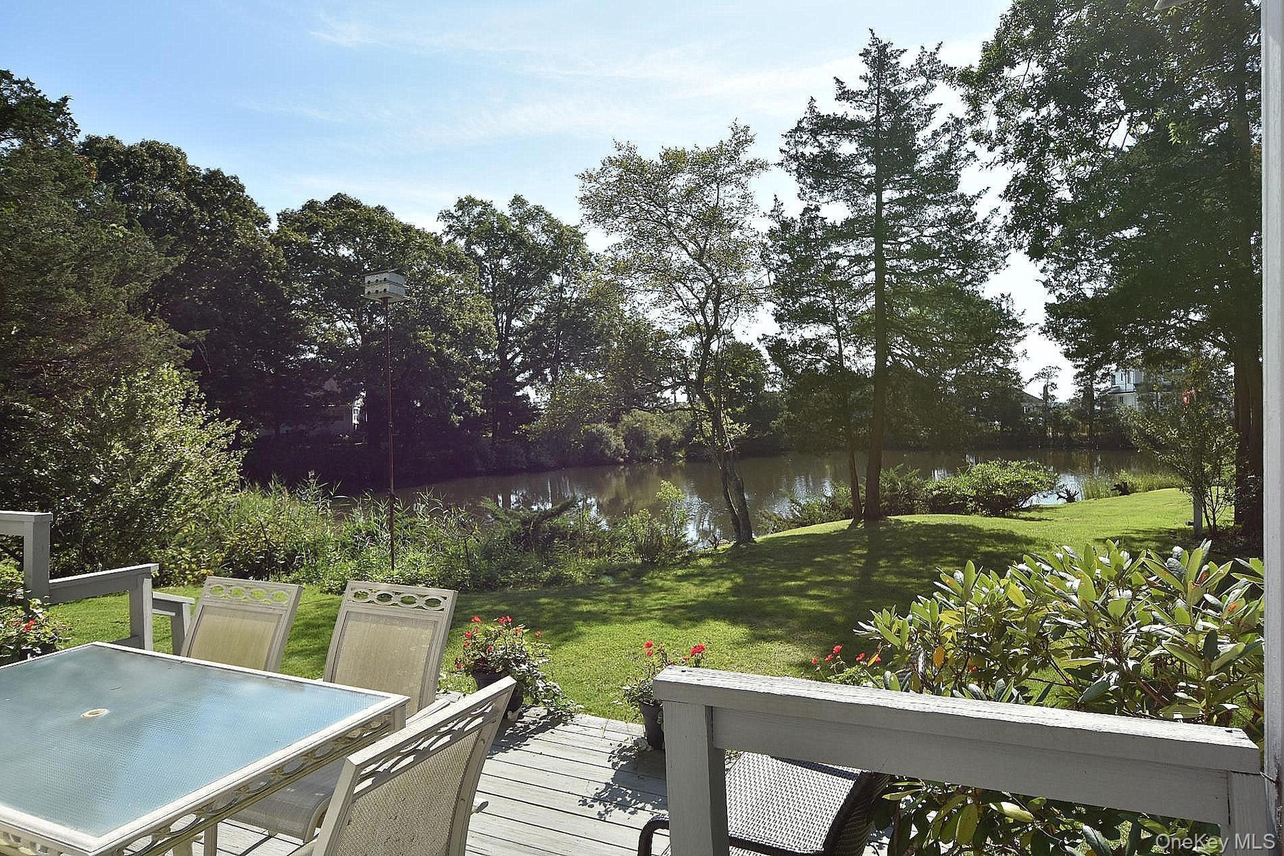 View from the deck